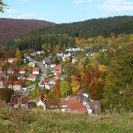 Pension Rheingold Garni Bad Grund Bagian luar foto