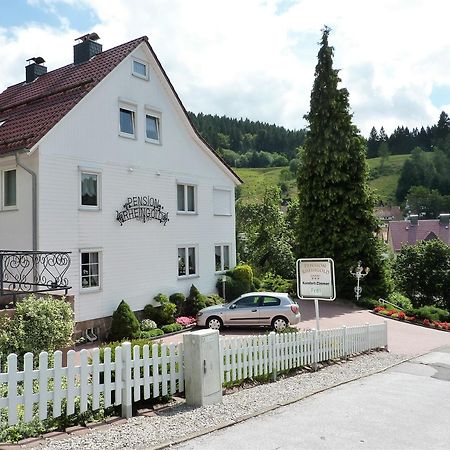Pension Rheingold Garni Bad Grund Bagian luar foto