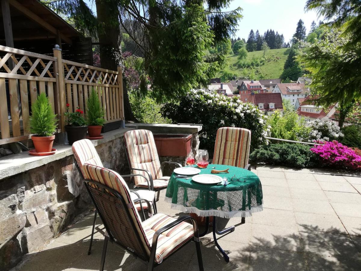 Pension Rheingold Garni Bad Grund Bagian luar foto