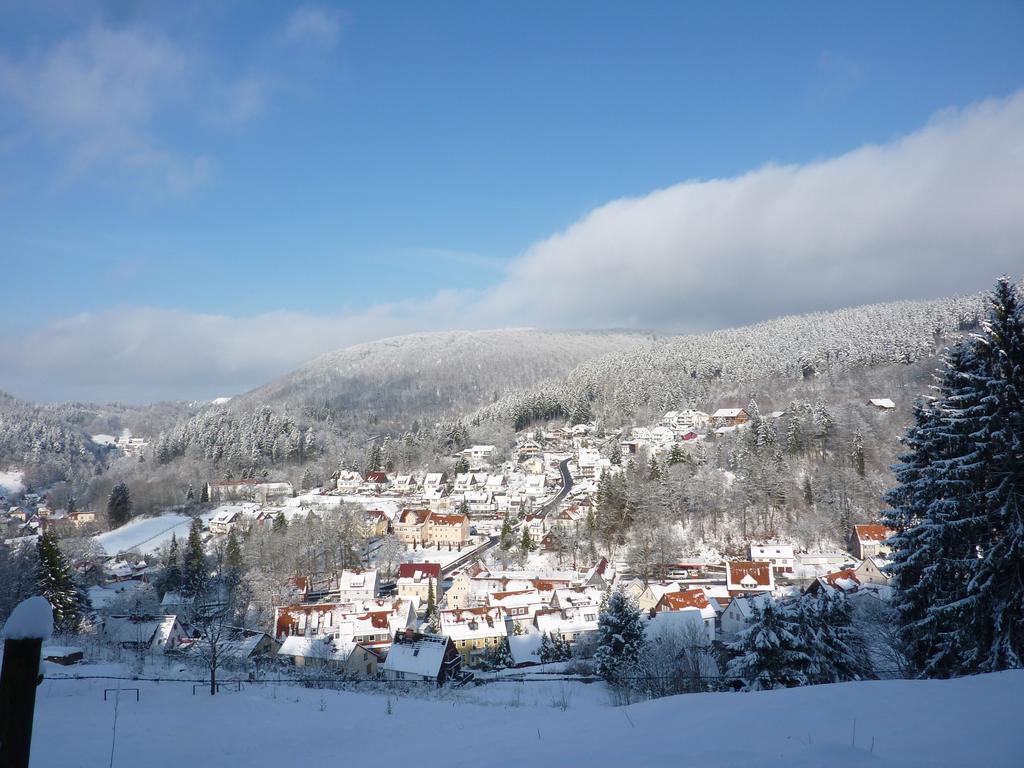 Pension Rheingold Garni Bad Grund Bagian luar foto