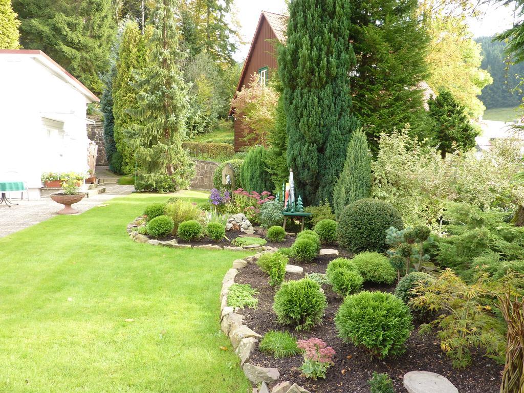 Pension Rheingold Garni Bad Grund Ruang foto