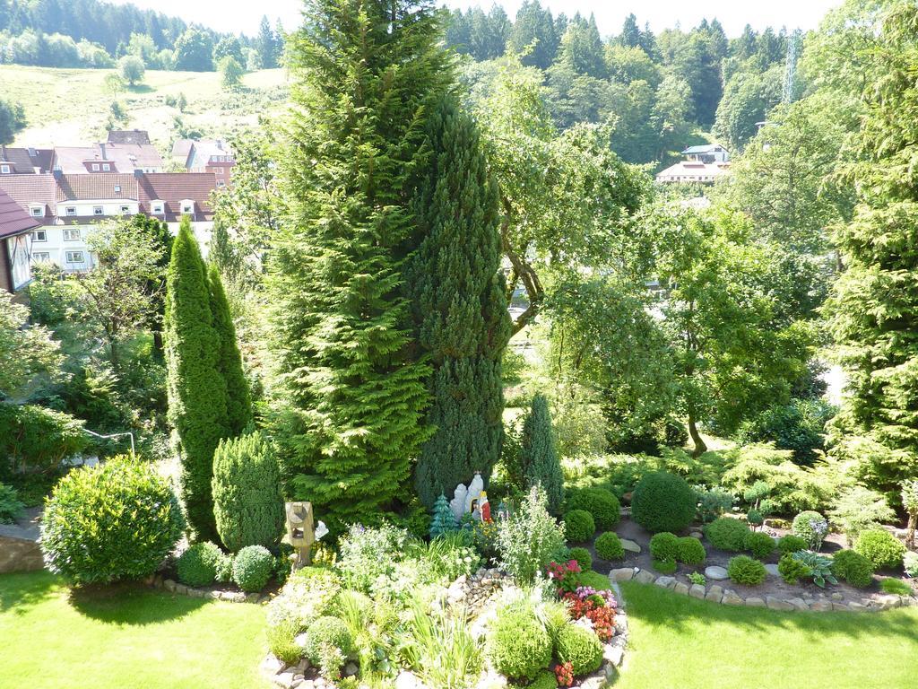 Pension Rheingold Garni Bad Grund Bagian luar foto