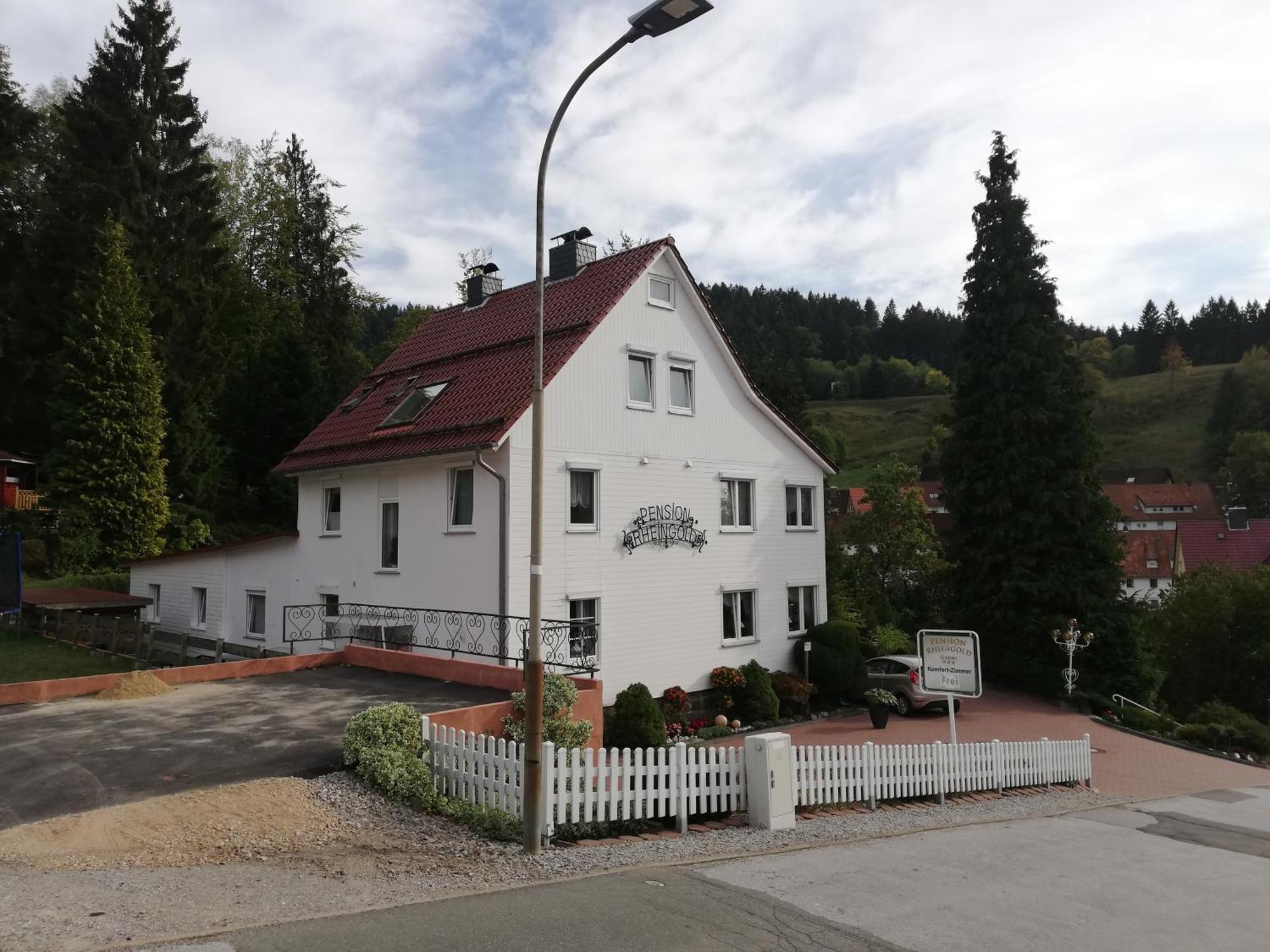Pension Rheingold Garni Bad Grund Bagian luar foto