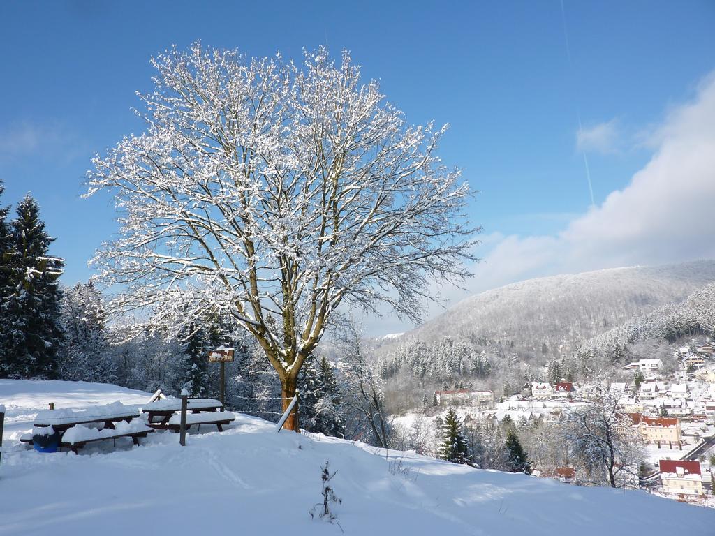 Pension Rheingold Garni Bad Grund Bagian luar foto